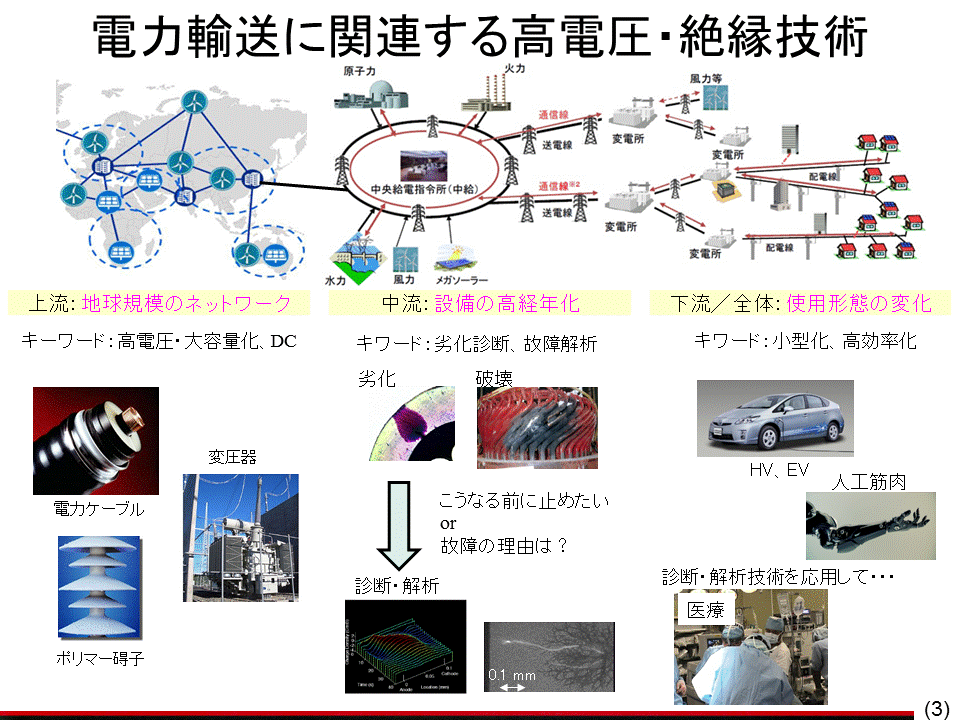 研究対象